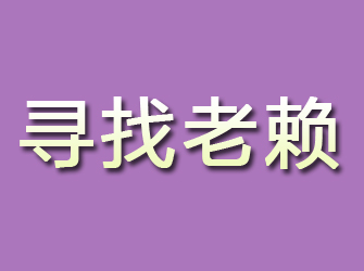 金牛寻找老赖